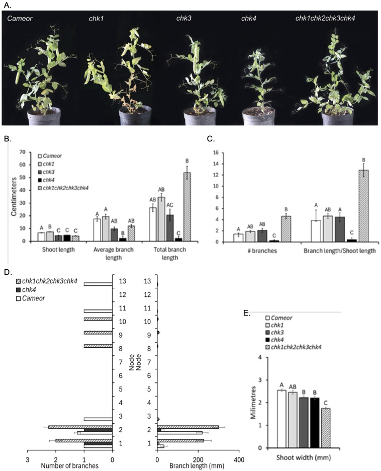 Figure 3