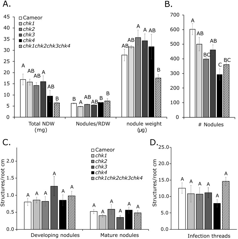 Figure 5