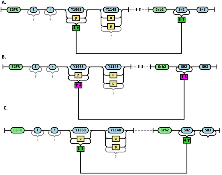 Fig 5