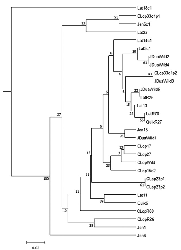 Fig. 3