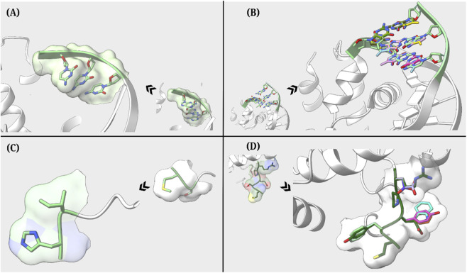 FIGURE 3