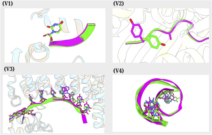 FIGURE 4
