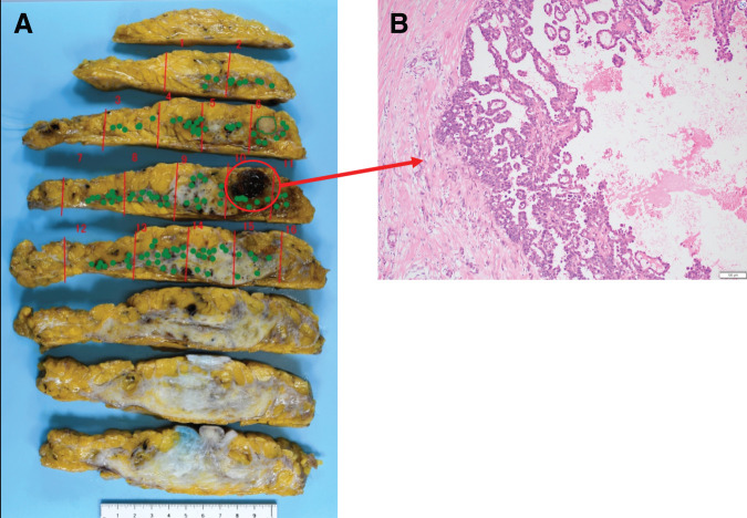 Fig. 6