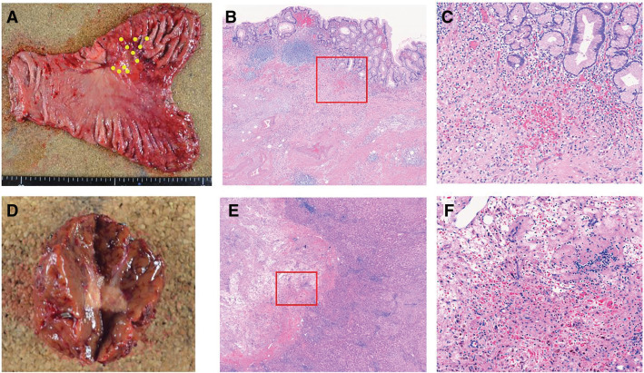 Fig. 6