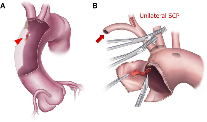 Fig. 2