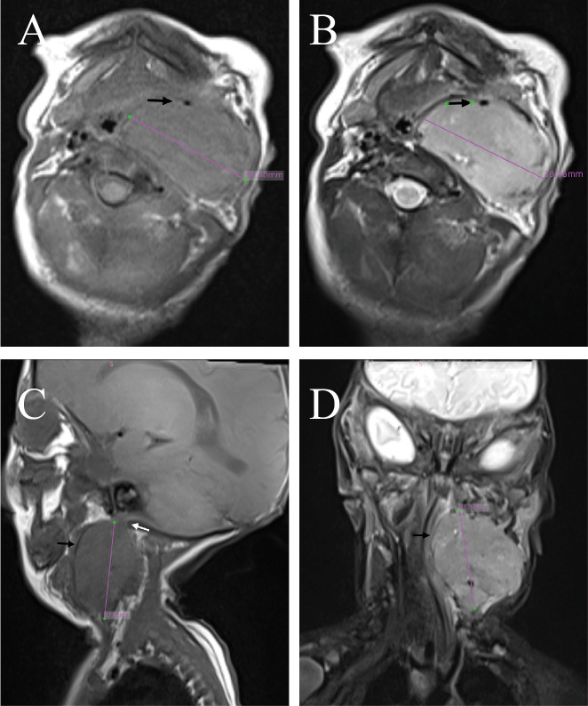 Figure 3