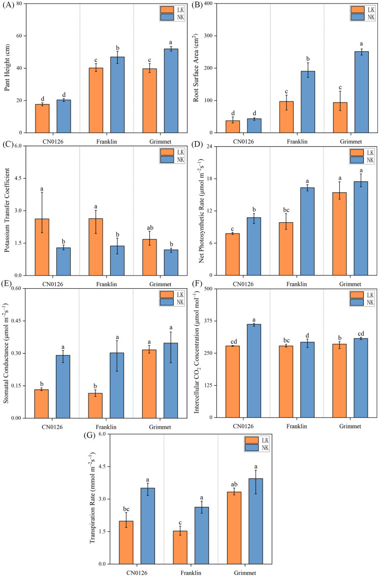 Figure 2