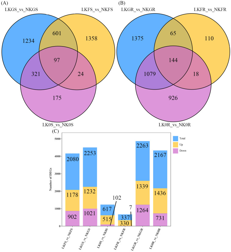 Figure 3