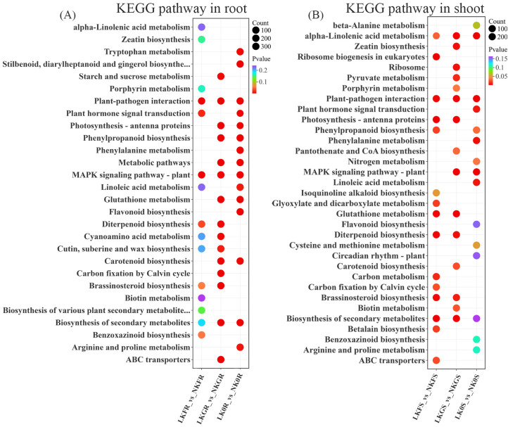 Figure 4