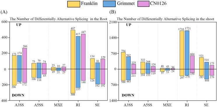 Figure 5