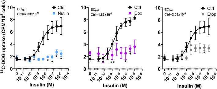 Figure 4