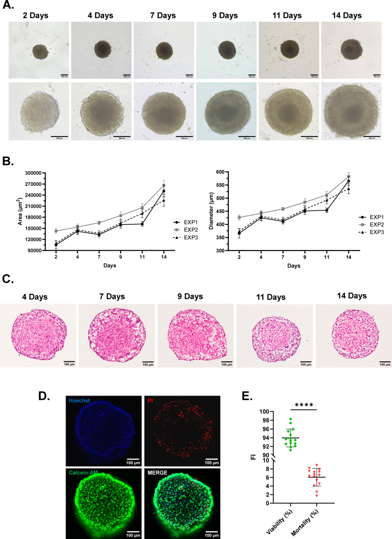Figure 4