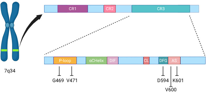 Figure 1