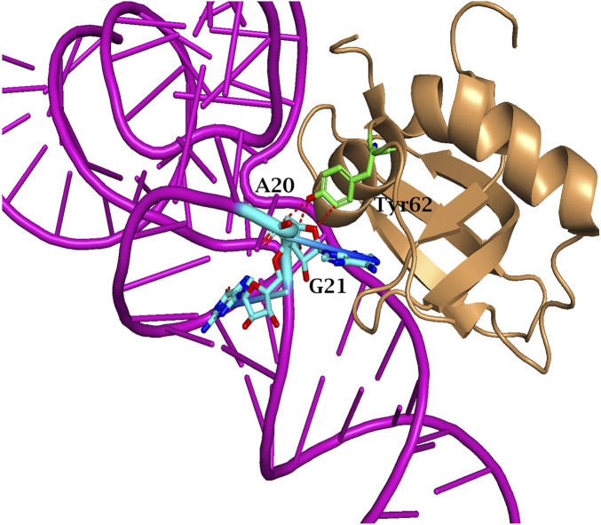 Figure 9