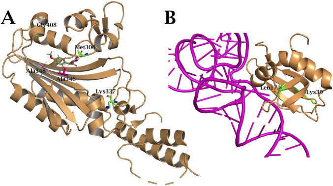 Figure 10