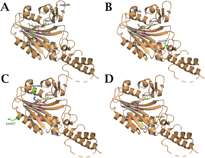Figure 12