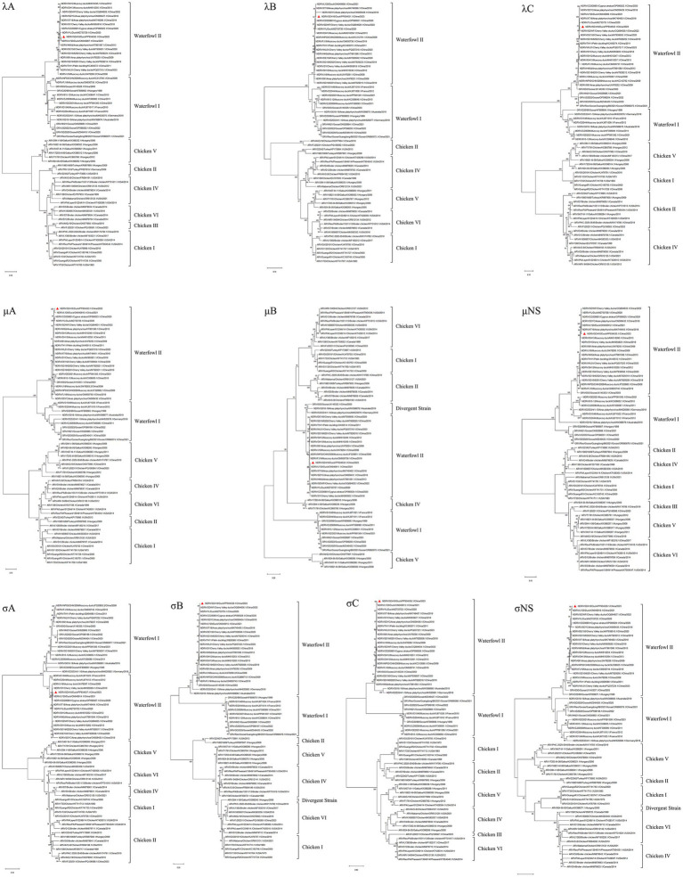 Figure 6