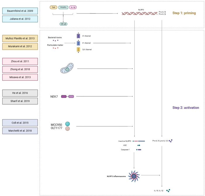 Figure 5