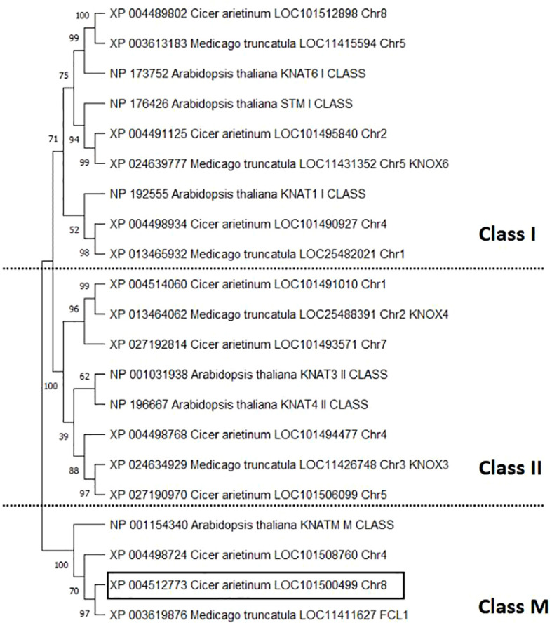 Figure 10