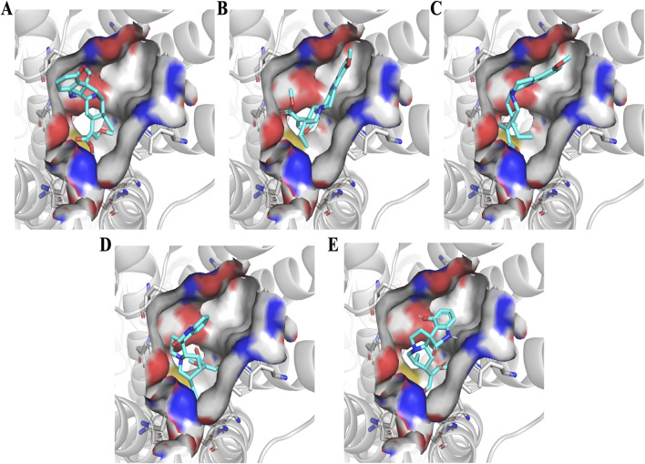 Figure 6