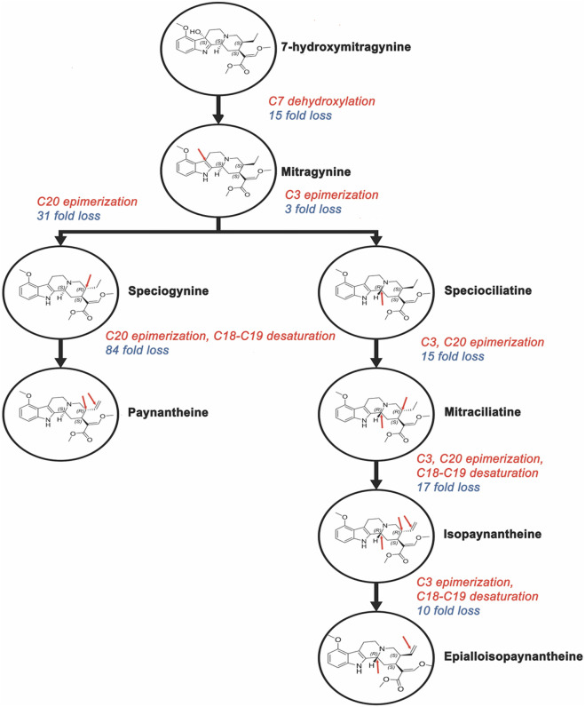 Figure 7