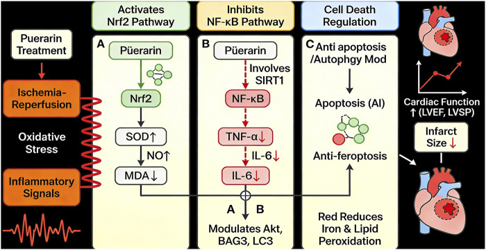 Figure 13