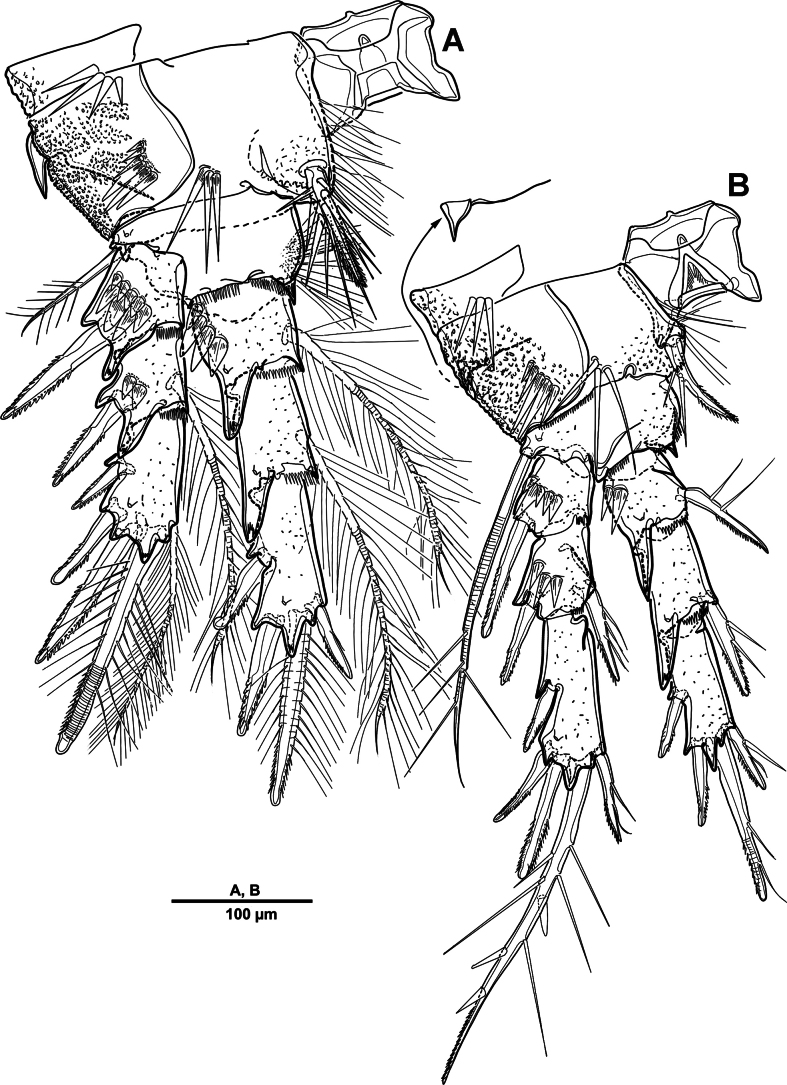 Figure 8