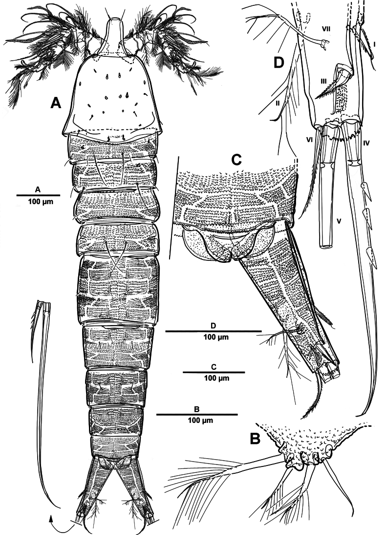 Figure 9