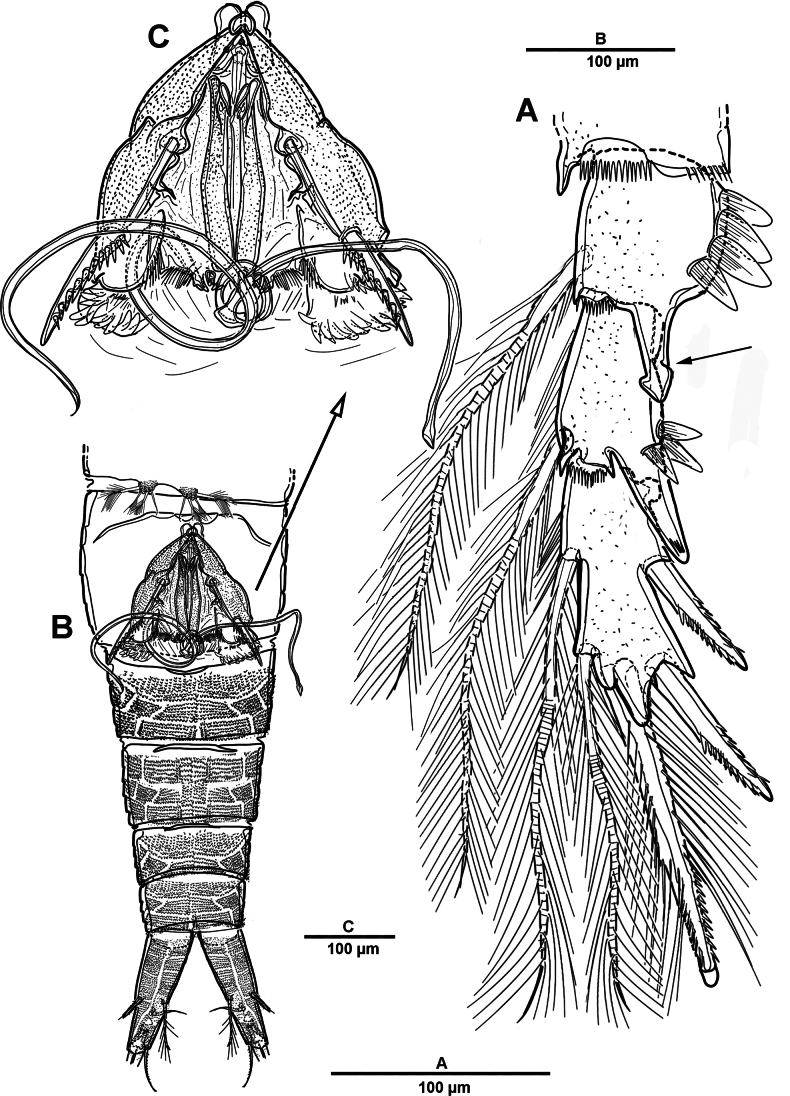 Figure 11