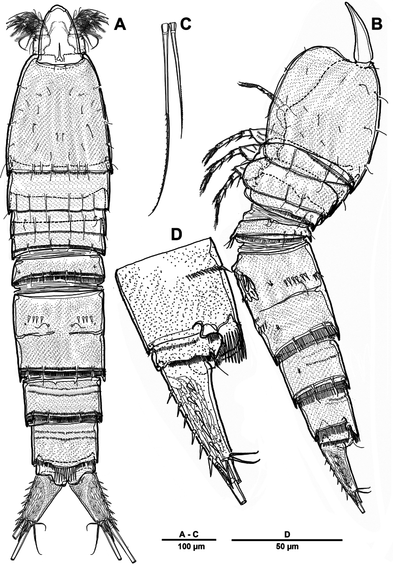 Figure 12