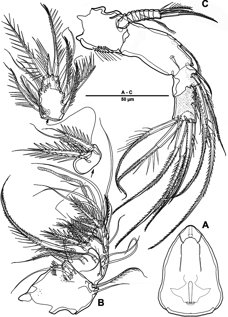 Figure 13