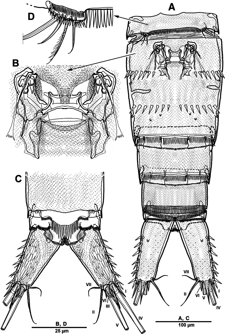 Figure 14