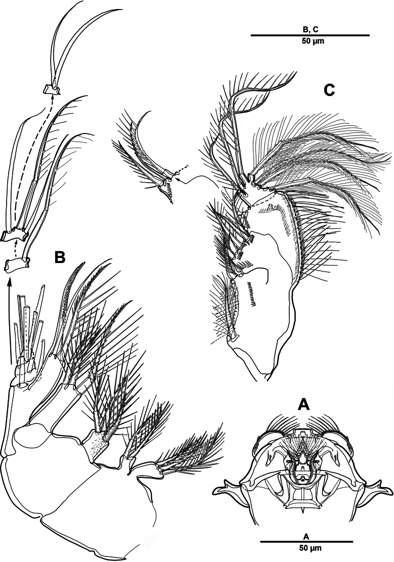 Figure 15