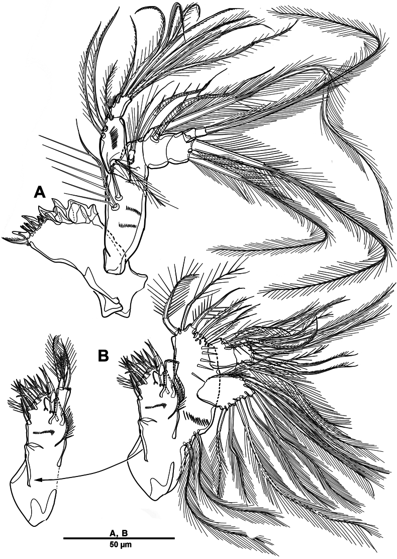 Figure 16