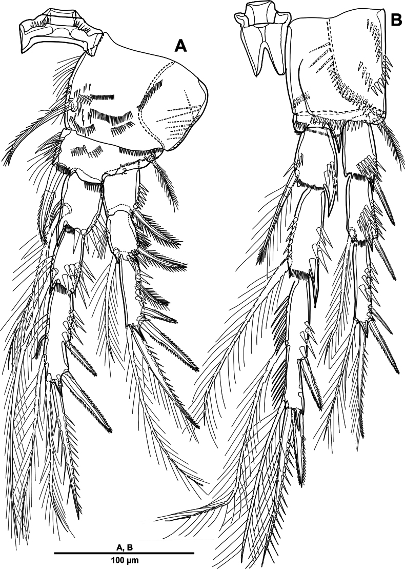 Figure 17