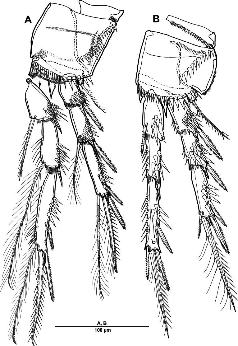 Figure 18