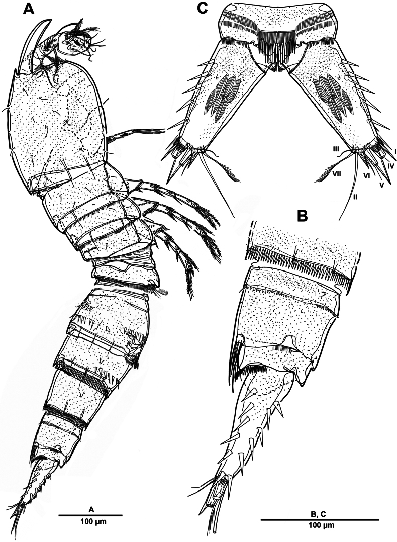 Figure 19