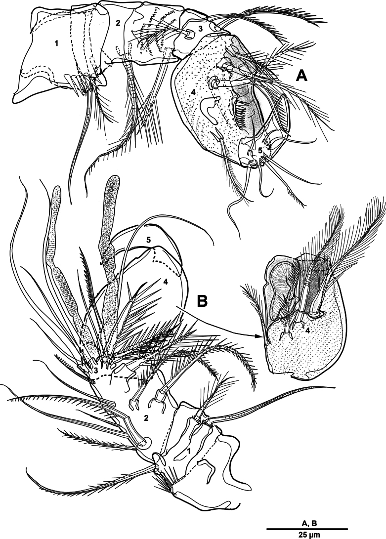 Figure 20