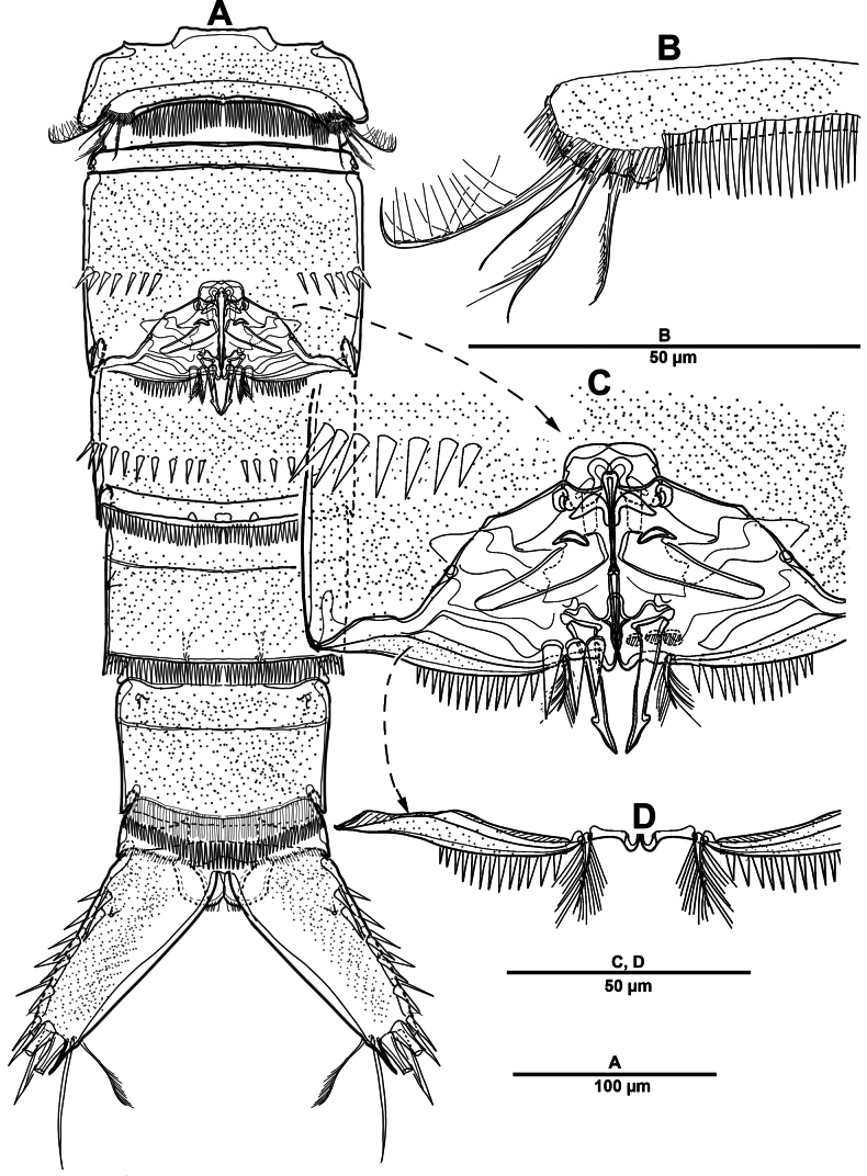 Figure 21
