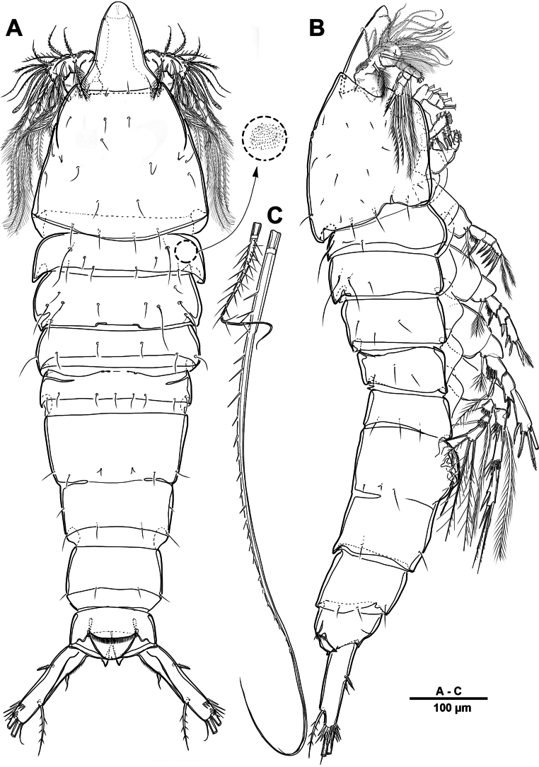 Figure 22