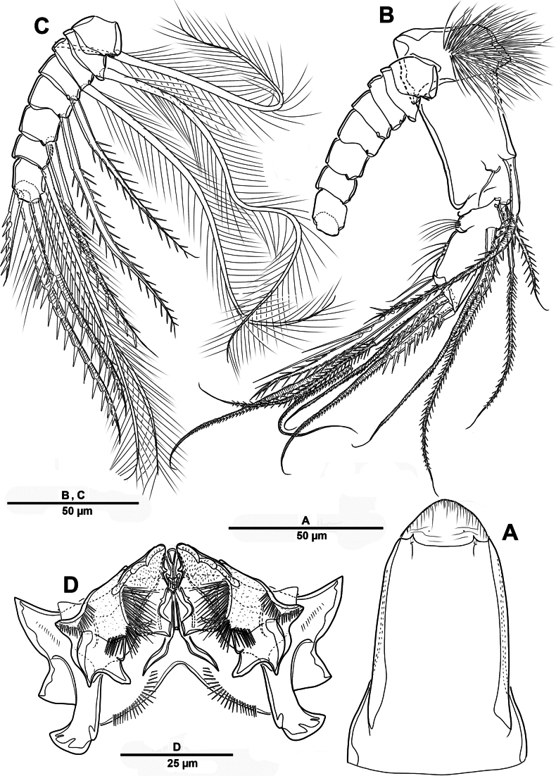 Figure 23