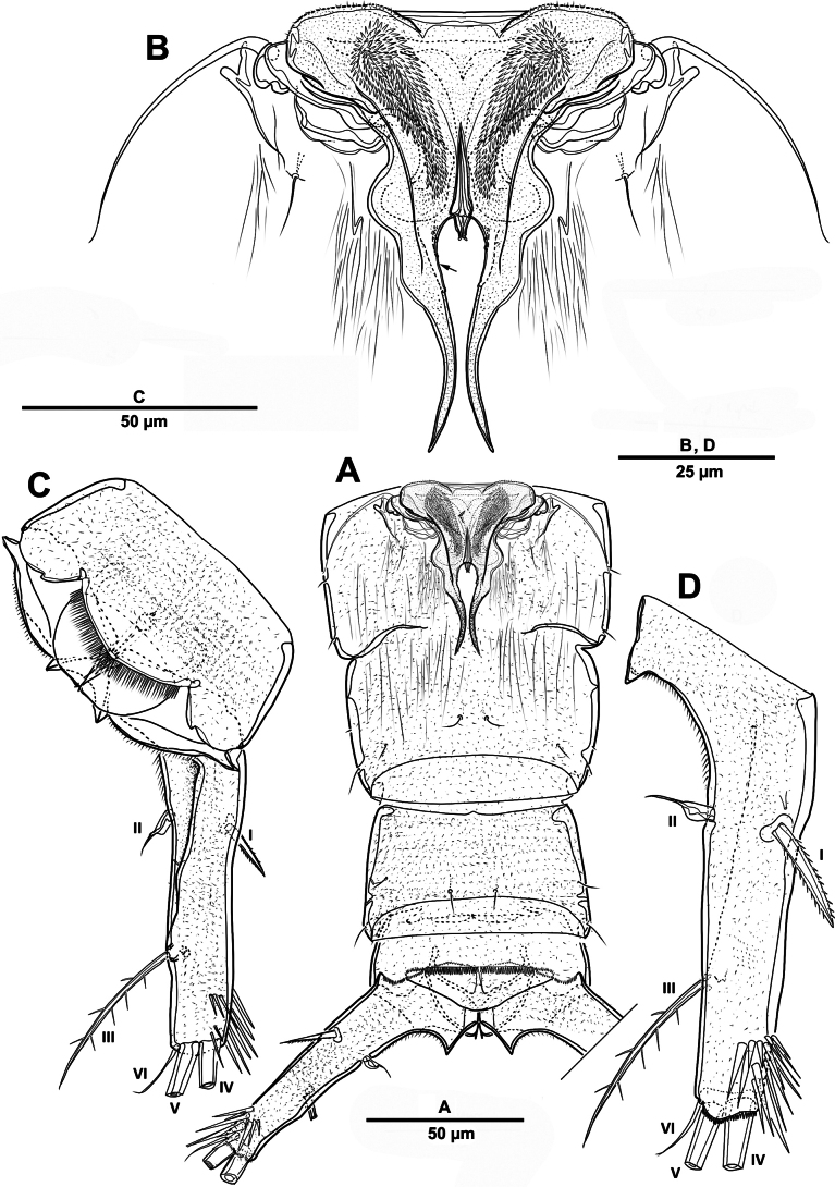 Figure 24