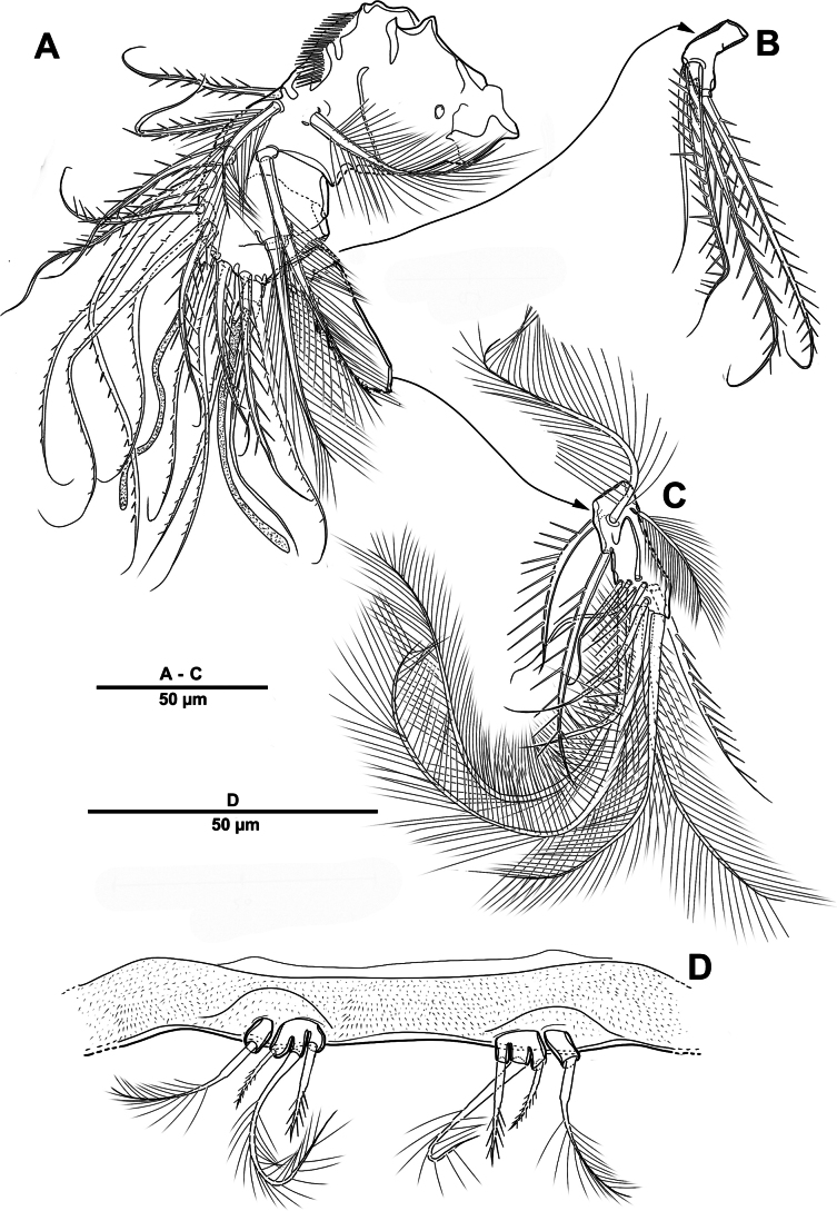 Figure 25