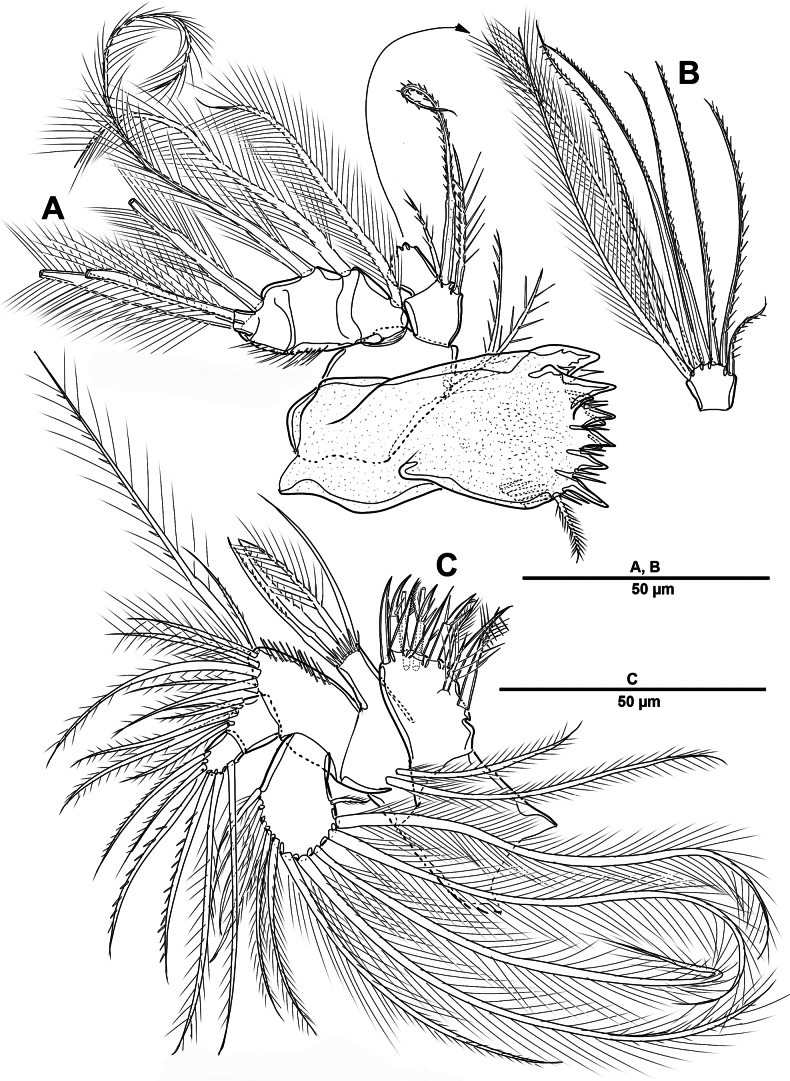 Figure 26