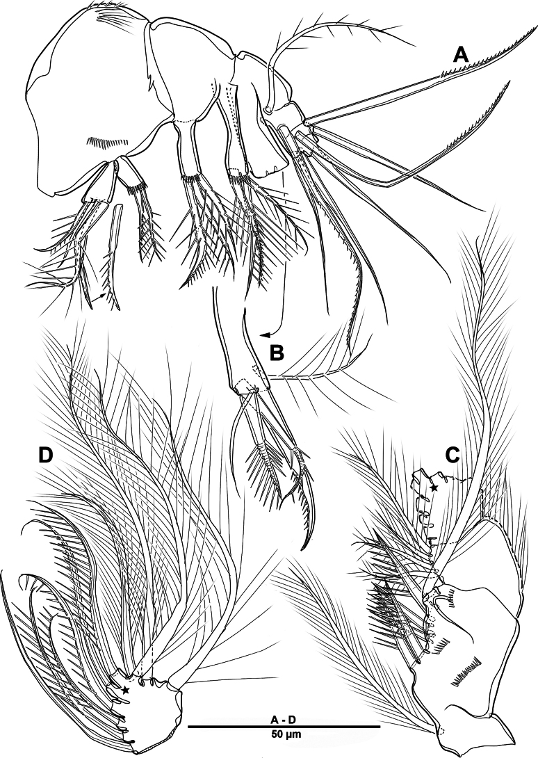 Figure 27