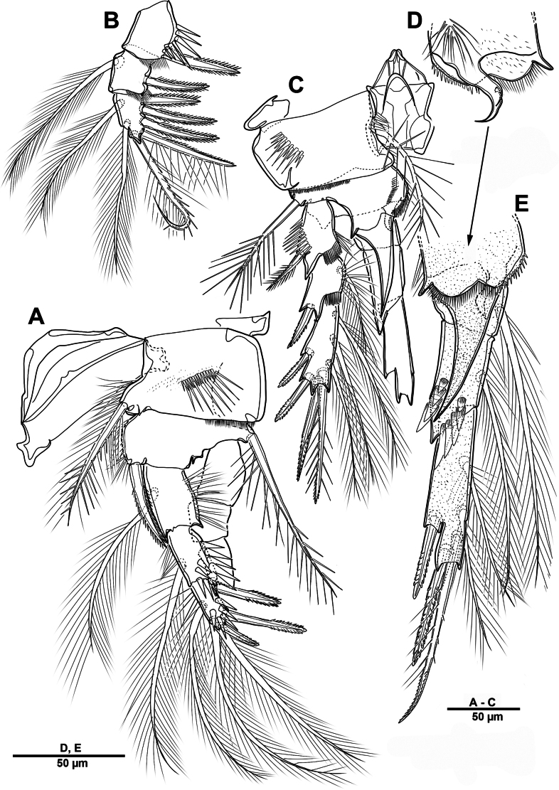 Figure 28