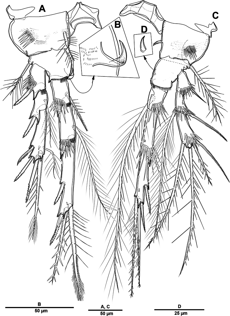 Figure 29