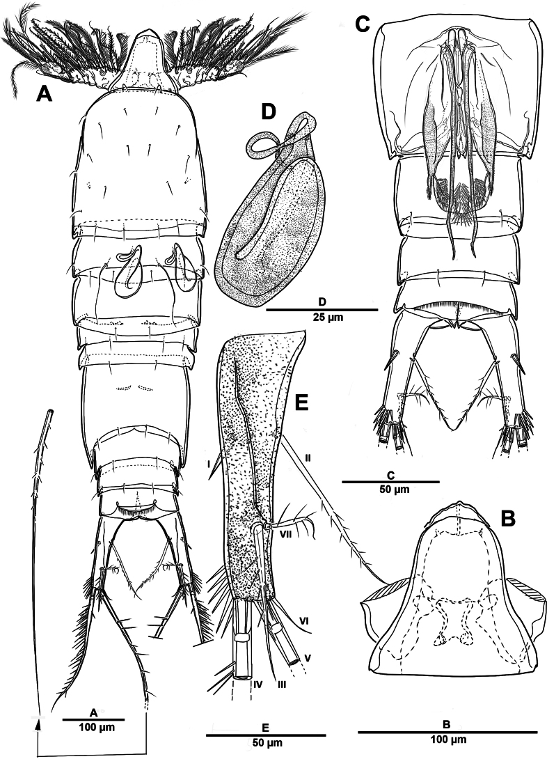 Figure 30