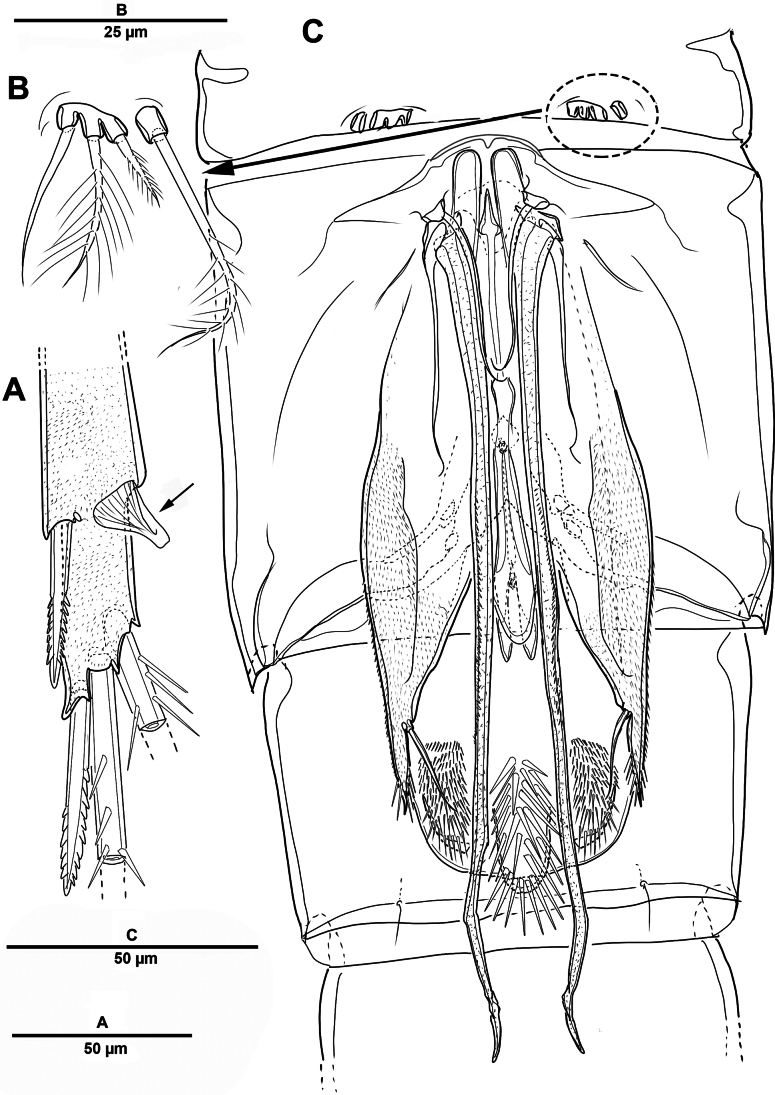 Figure 32