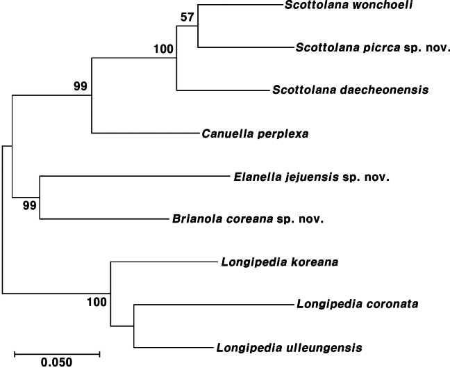 Figure 33